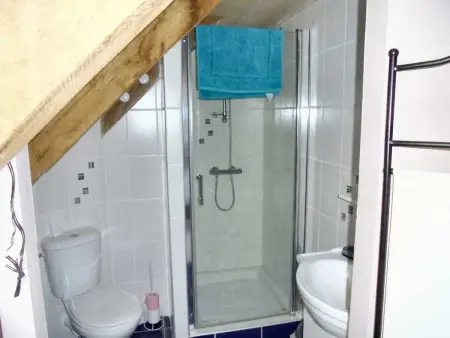 Maison spacieuse à Castelnau-de-Mandailles avec cheminée 250 m² - Photo 24