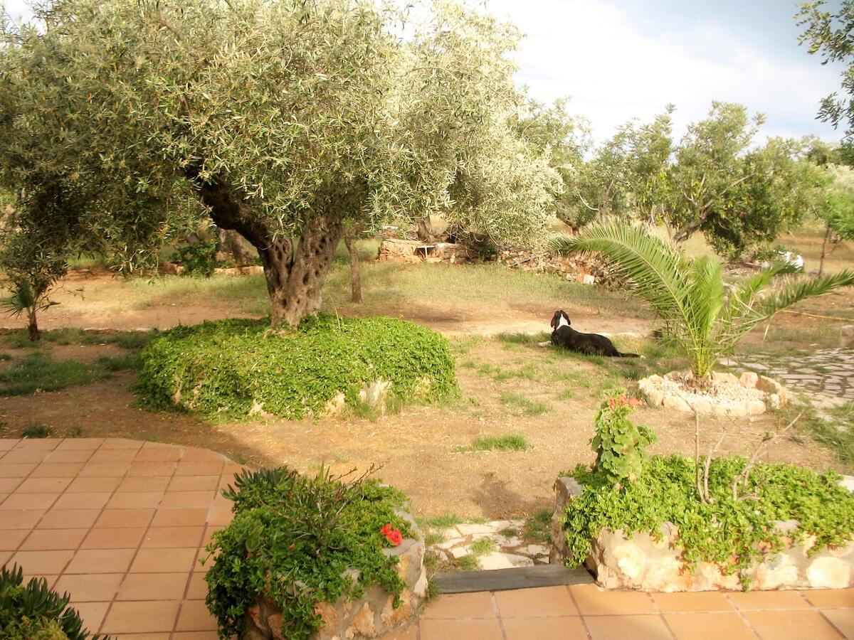 Maison 220 m² à Ampolla, 6 personnes, jardin & barbecue - Photo 15