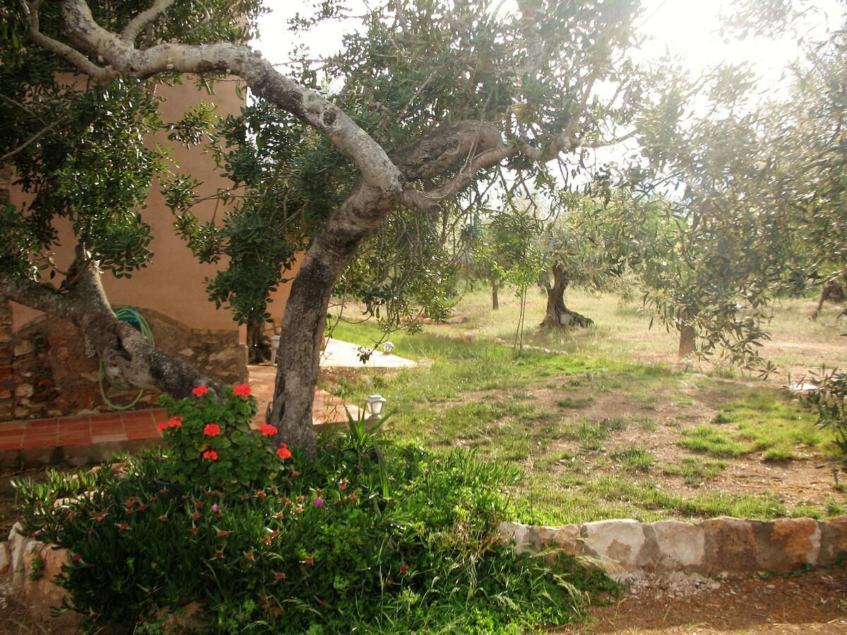 Maison 220 m² à Ampolla, 6 personnes, jardin & barbecue - Photo 37