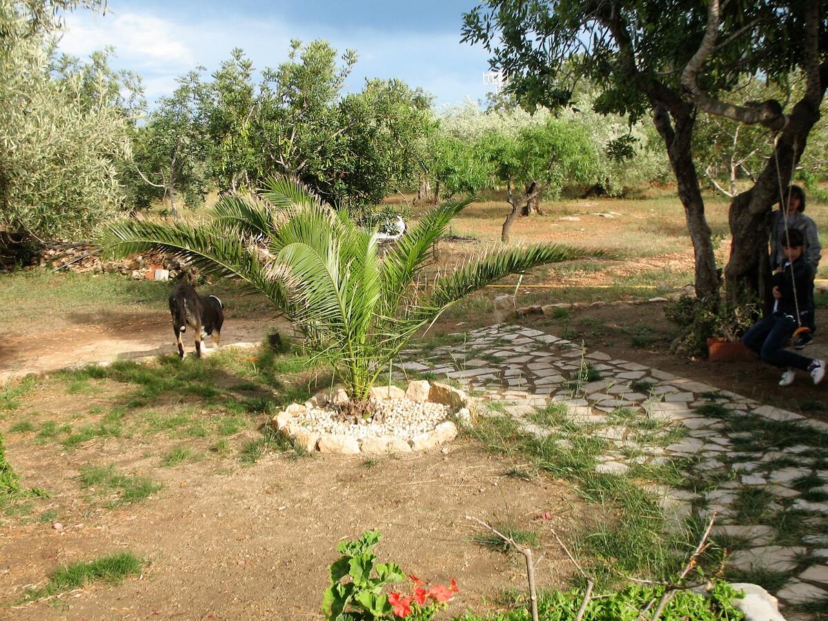 Maison 220 m² à Ampolla, 6 personnes, jardin & barbecue - Photo 39