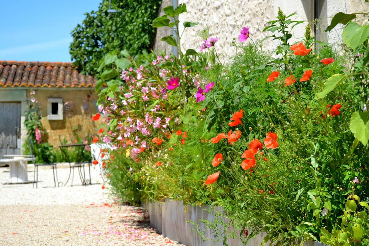 Maison 180 m² pour 12 personnes avec jardin jeux à Cabariot - Photo 5