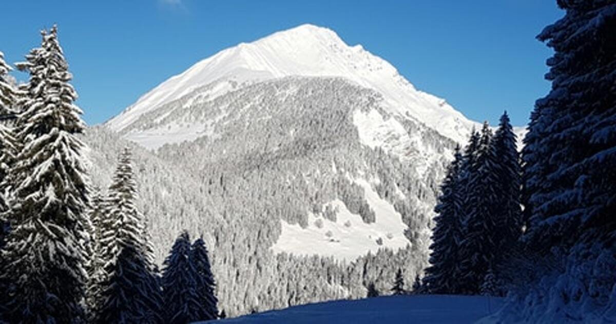 Appartement 41 m² La Chapelle-d'Abondance, balcon vue montagne - Photo 15