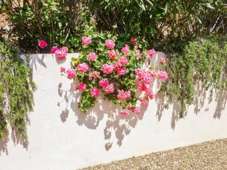 Villa avec piscine privée et jardin clos à La Croix-Valmer : photo 28