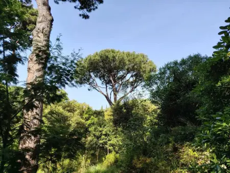 Villa avec piscine privée et jardin clos à La Croix-Valmer : photo 30