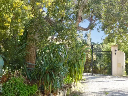 Villa avec piscine privée et jardin clos à La Croix-Valmer : photo 31