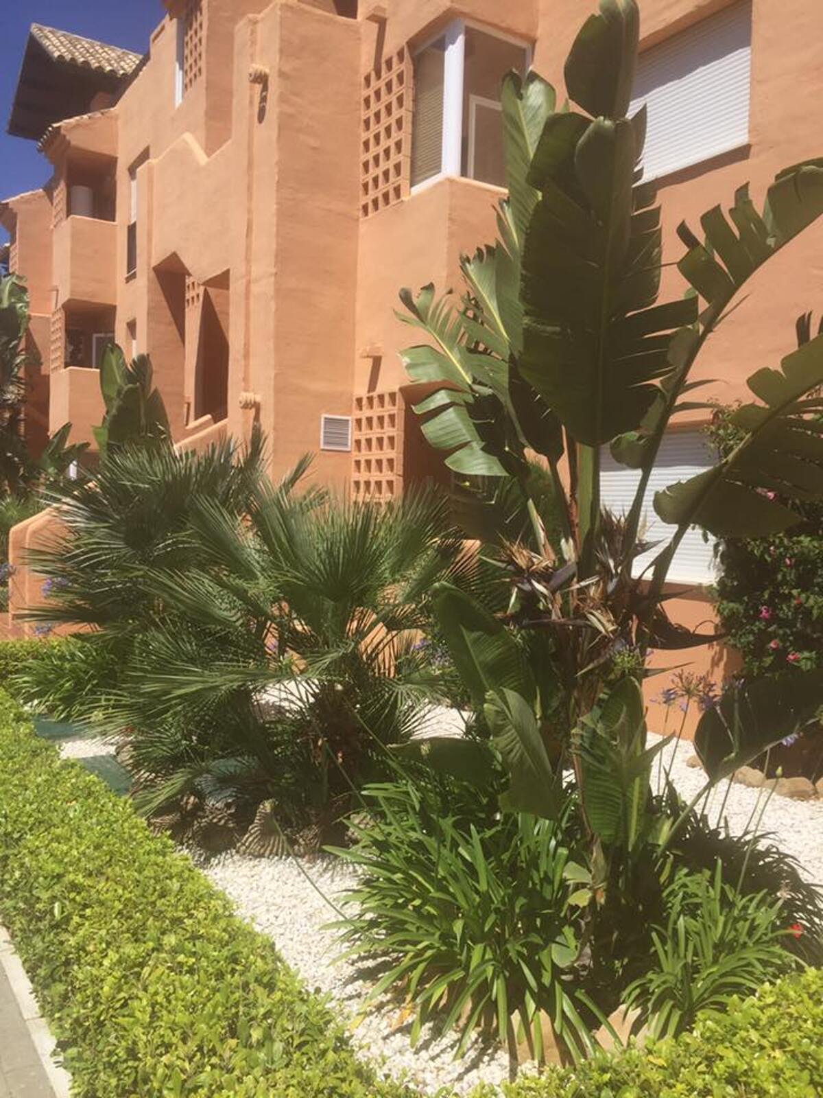 Appartement 96 m² vue mer, piscine toute l'année à Casares - Photo 9