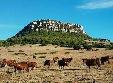 Maison charmante avec vue sur mer et montagne à El Chaparral - Photo 9