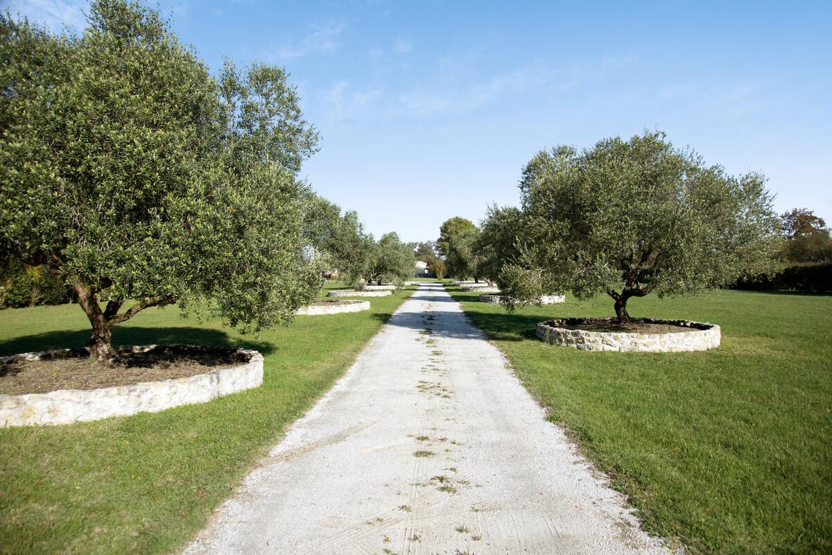 Villa 12 personnes à Saint-Germain-d'Esteuil avec piscine - Photo 21