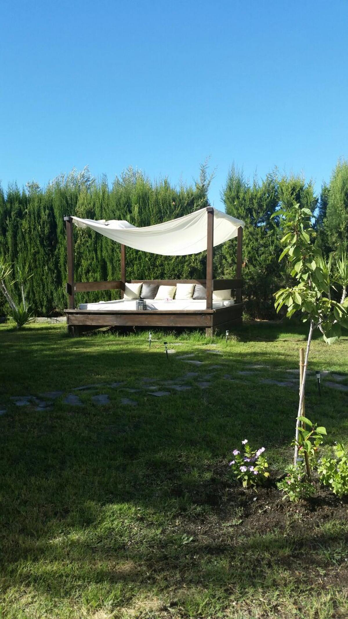 Villa 750 m² à Atarfe, piscine chauffée et vue Sierra Nevada - Photo 4