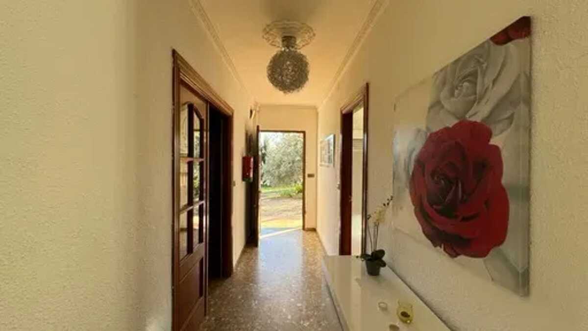 Villa 750 m² à Atarfe, piscine chauffée et vue Sierra Nevada - Photo 30