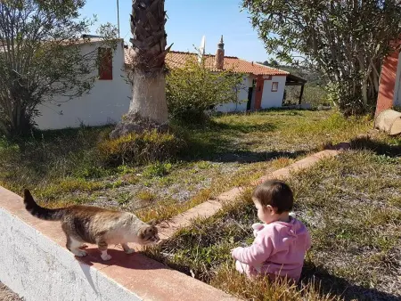 Villa moderne à Loulé avec piscine privée vue montagne, 6 pers. : photo 36