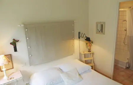 Maison de charme avec jardin d'1 hectare et piscine à Saint-Branchs : photo 8