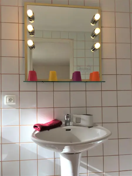 Maison de charme avec jardin d'1 hectare et piscine à Saint-Branchs : photo 16