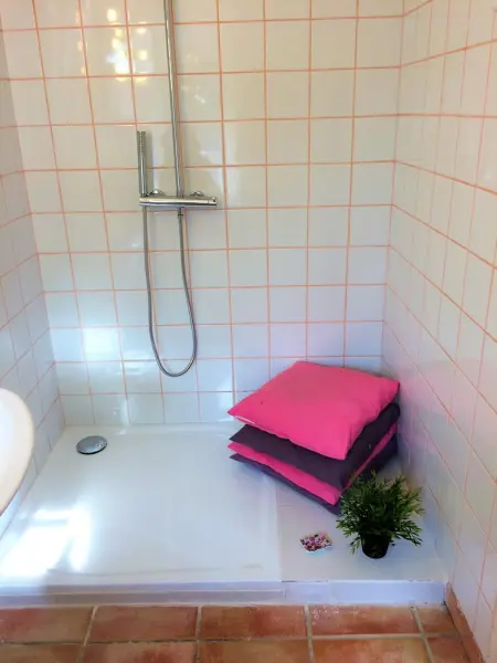 Maison de charme avec jardin d'1 hectare et piscine à Saint-Branchs : photo 19
