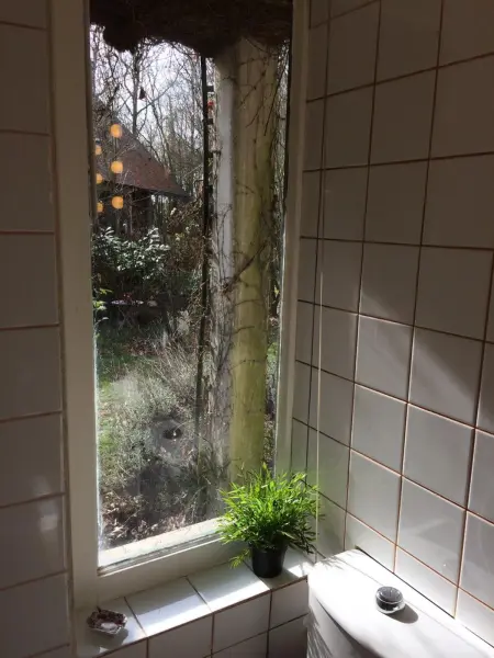 Maison de charme avec jardin d'1 hectare et piscine à Saint-Branchs : photo 21