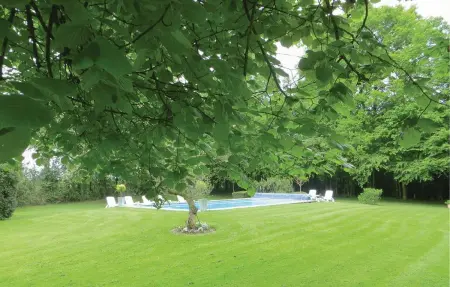Maison de charme avec jardin d'1 hectare et piscine à Saint-Branchs : photo 23