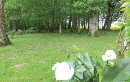 Maison de charme avec jardin d'1 hectare et piscine à Saint-Branchs : photo 24