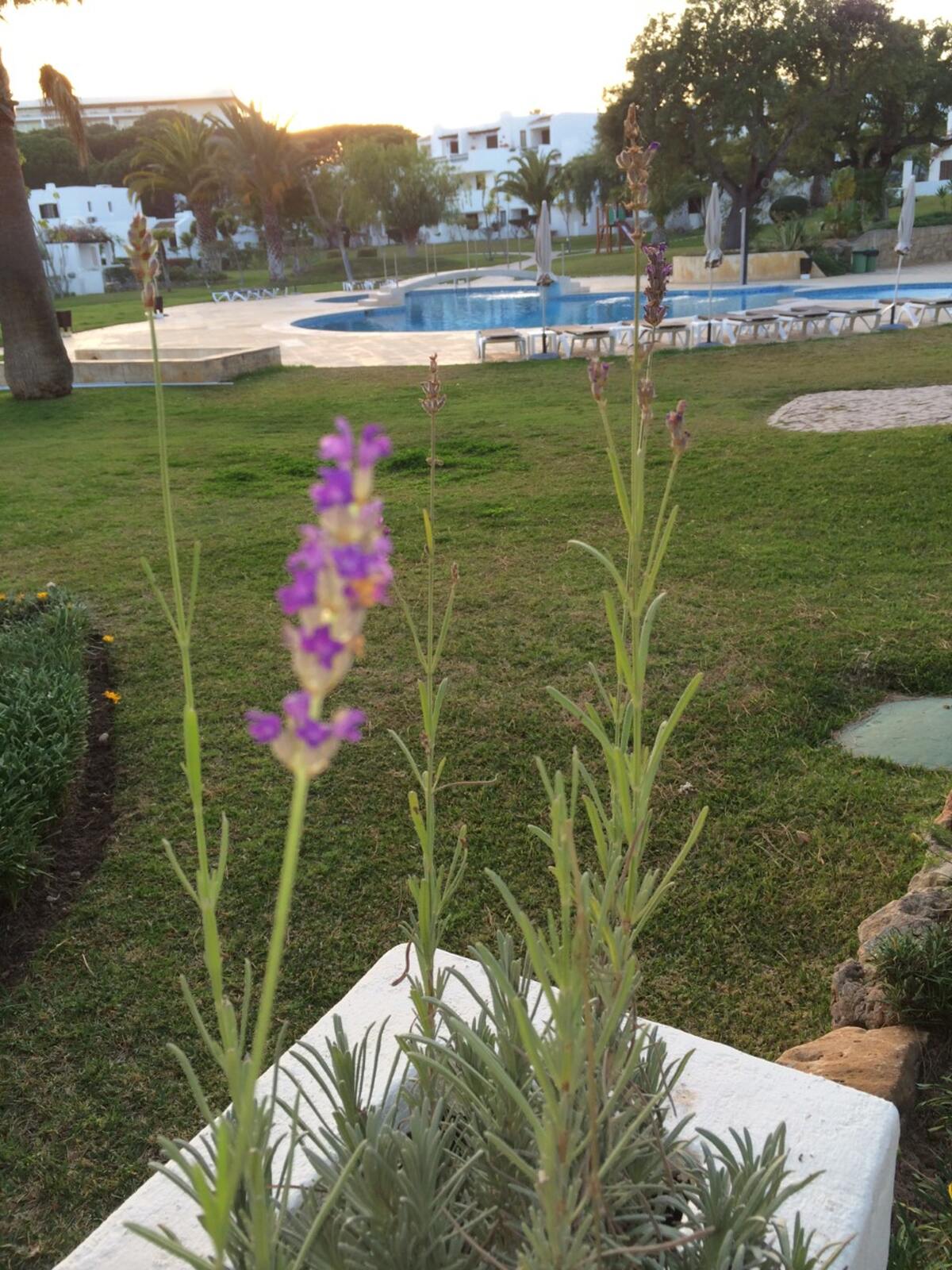 Appartement spacieux à Olhos de Água de 130 m² avec piscine - Photo 4
