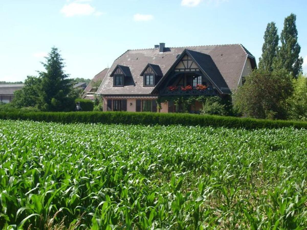 Appartement 3 étoiles avec jardin clos et parking à Hochfelden - Photo 4