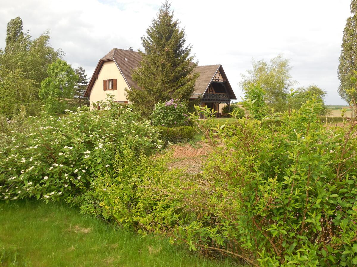 Appartement 3 étoiles avec jardin clos et parking à Hochfelden - Photo 13