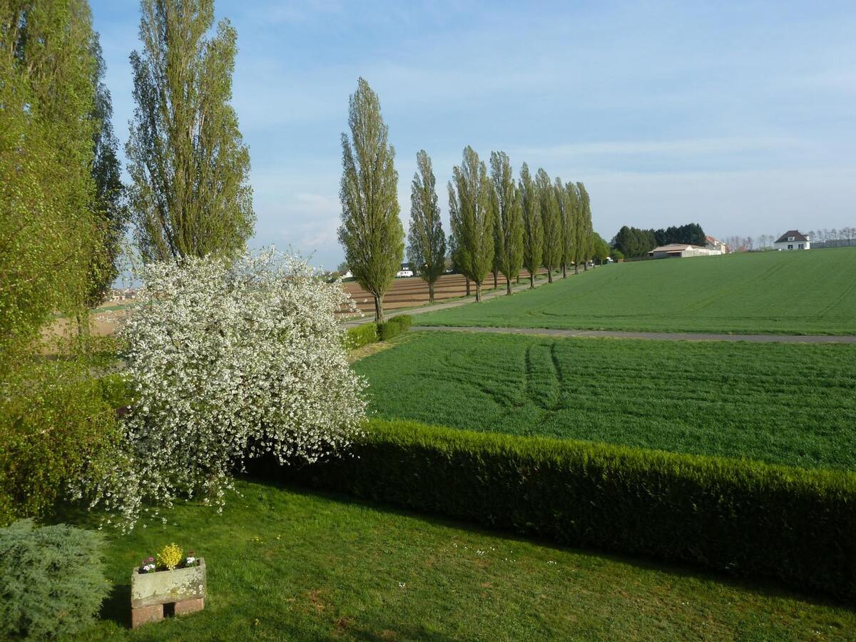 Appartement 3 étoiles avec jardin clos et parking à Hochfelden - Photo 15