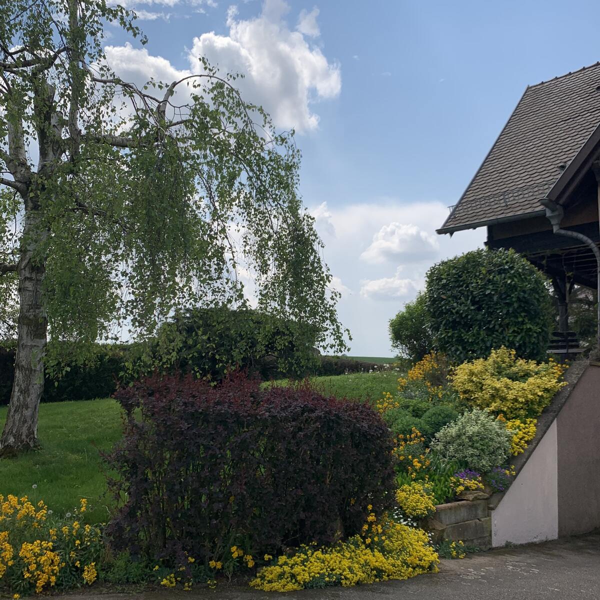 Appartement 3 étoiles avec jardin clos et parking à Hochfelden - Photo 17