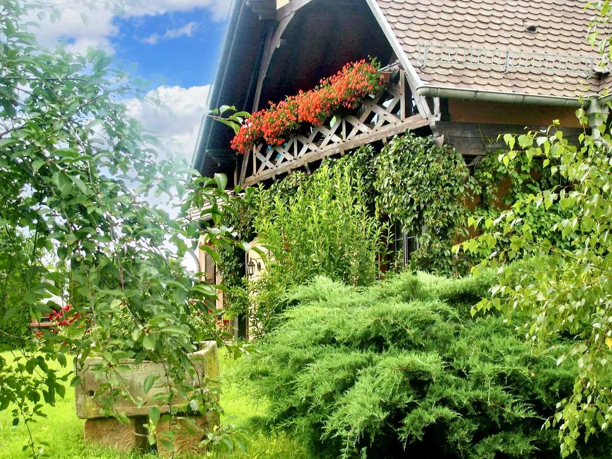 Appartement 3 étoiles avec jardin clos et parking à Hochfelden - Photo 18