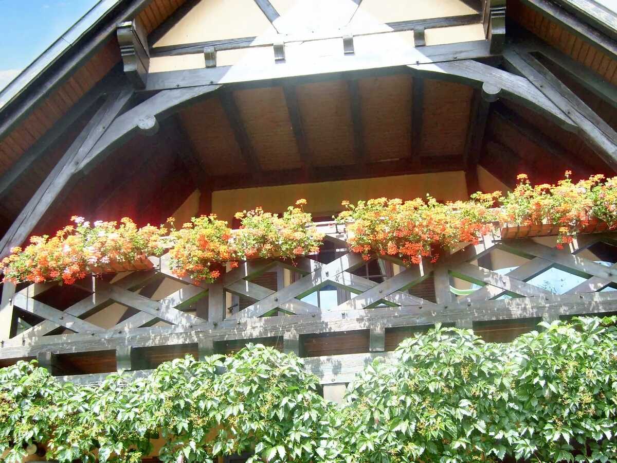 Appartement 3 étoiles avec jardin clos et parking à Hochfelden - Photo 19
