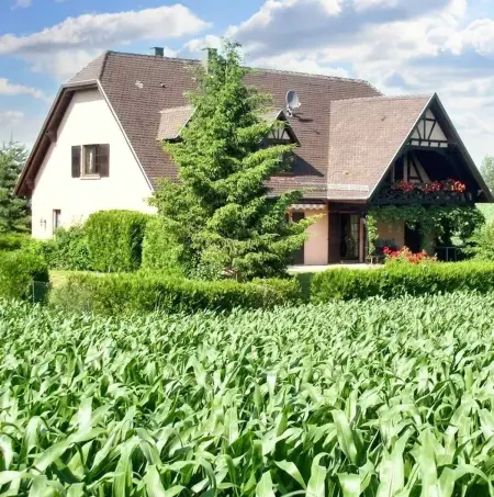 Location appartement à Hochfelden, Appartement charmant à Hochfelden - 100 m² et parking gratuit