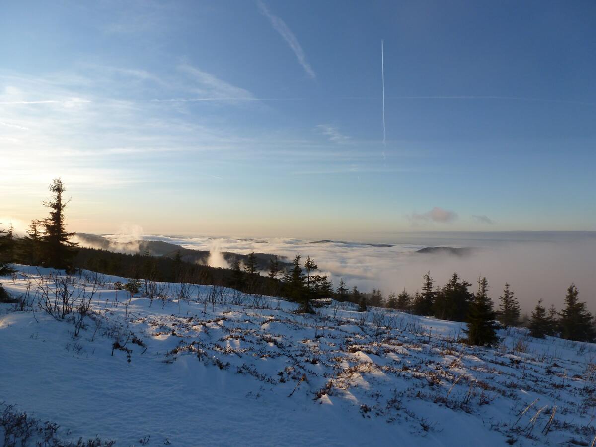 Chalet de 70 m² avec vue montagne et balcon à Stosswihr - Photo 14