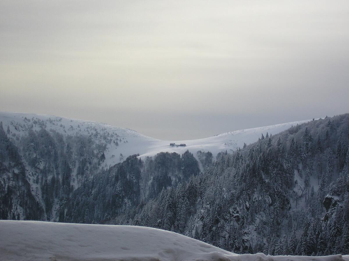 Chalet de 70 m² avec vue montagne et balcon à Stosswihr - Photo 16