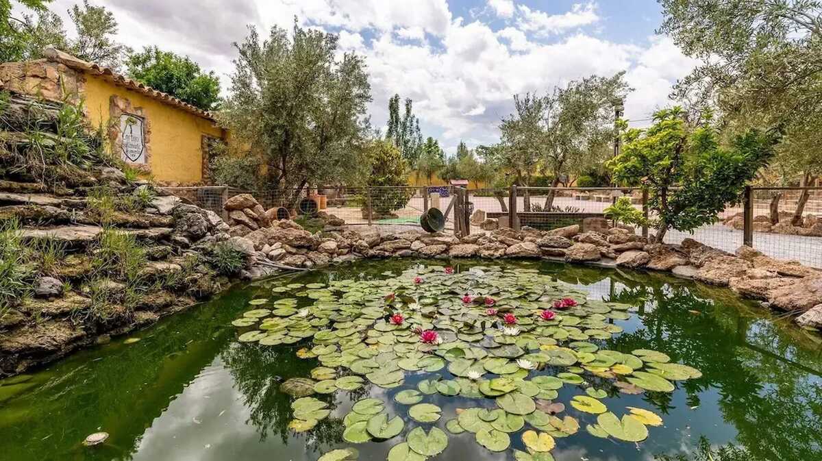 Villa 14 pers. avec piscine chauffée et vue montagne à Baza - Photo 5