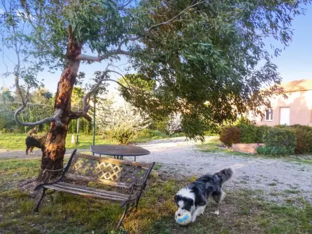 Maison charmante près de Castelnou avec piscine privée - Photo 18