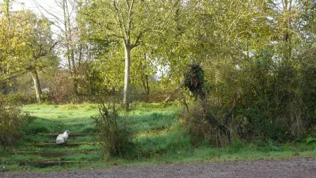 Villa en campagne au Locheur + Piscine, Villa 15 personnes à Le Locheur - Photo 32