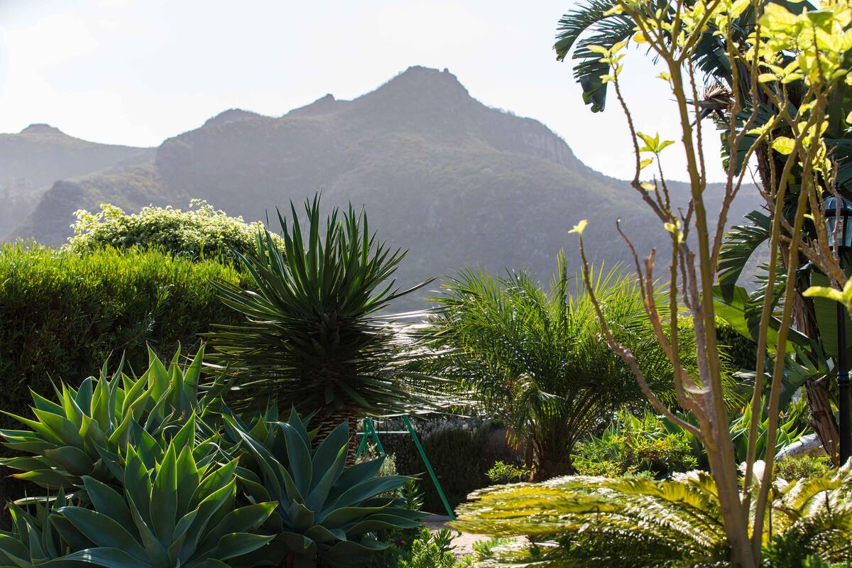 Appartement 32 m² piscine & jacuzzi - La Laguna - Photo 3