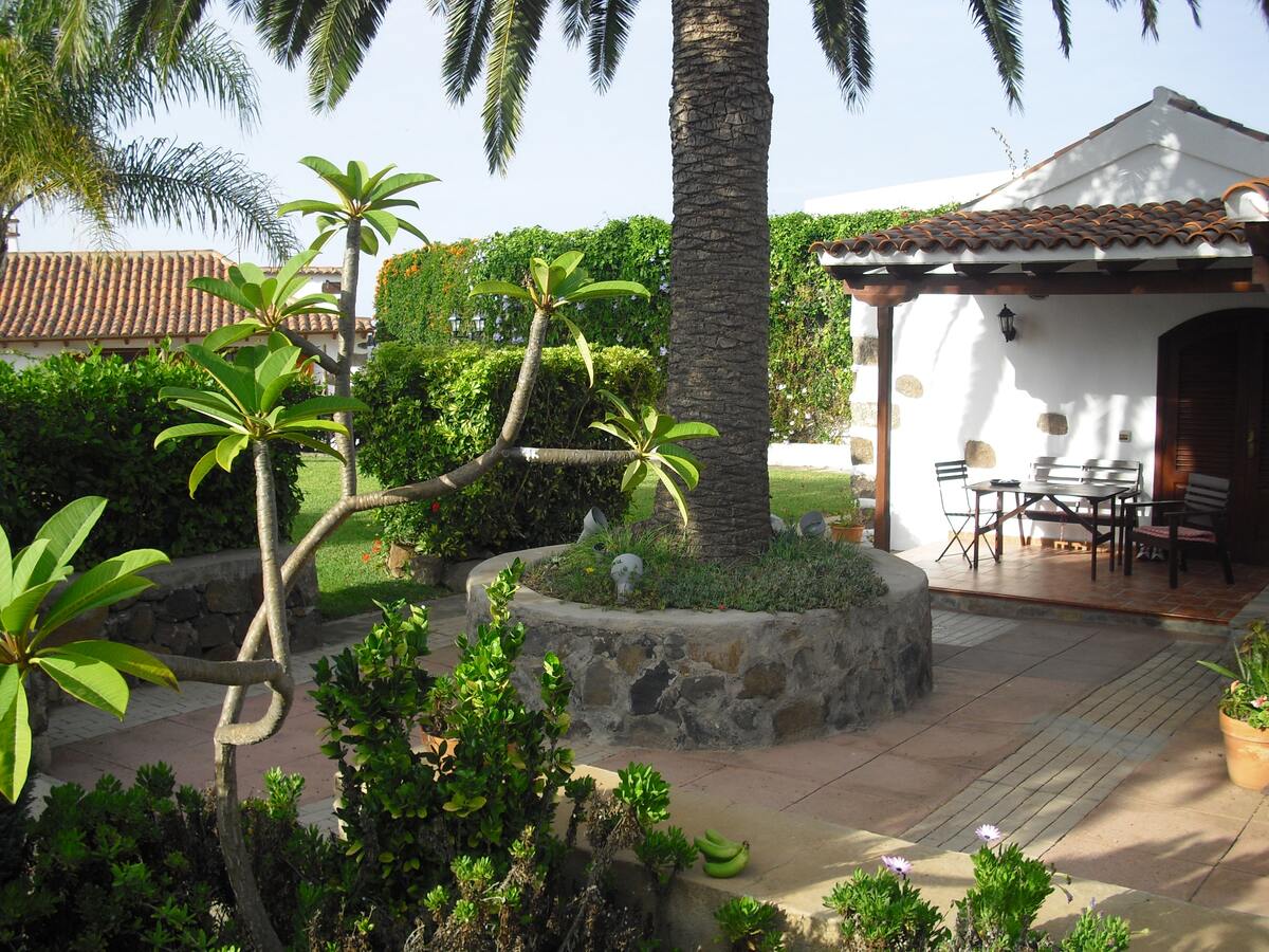 Appartement 32 m² piscine & jacuzzi - La Laguna - Photo 5