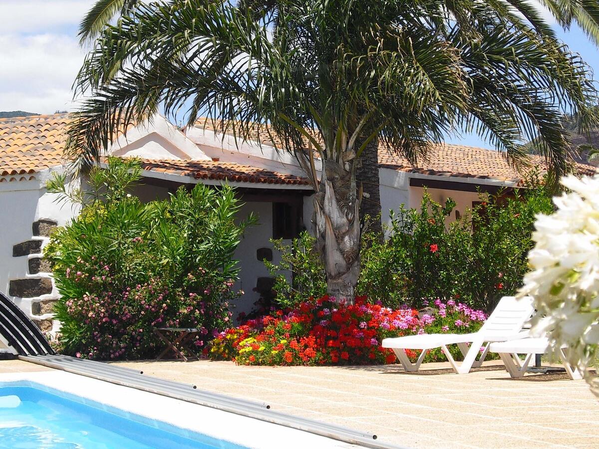 Appartement 32 m² piscine & jacuzzi - La Laguna - Photo 17