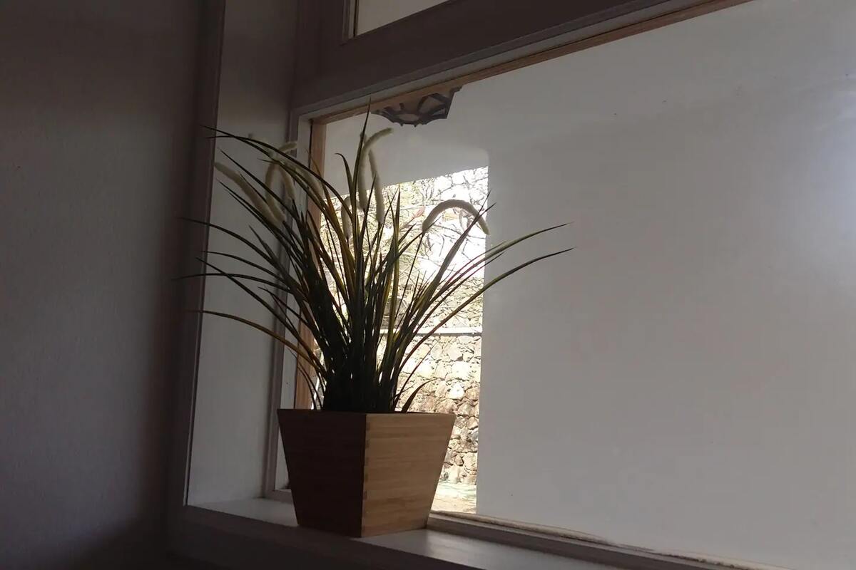 Appartement 1 chambre avec piscine commune à Tías - Photo 30