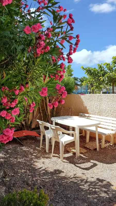 Appartement cosy à Port Leucate 44 m² avec terrasse et jardin - Photo 23