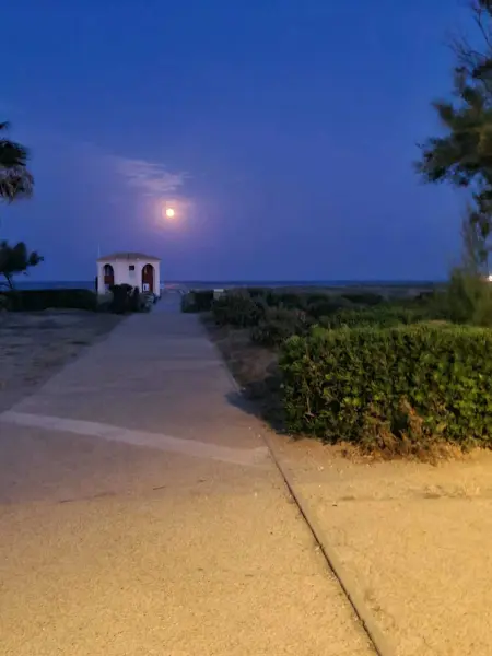 Appartement cosy à Port Leucate 44 m² avec terrasse et jardin - Photo 24