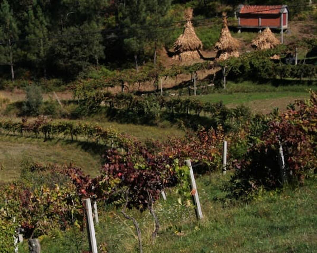 Maison de charme avec cheminée et terrasse barbecue - Photo 17