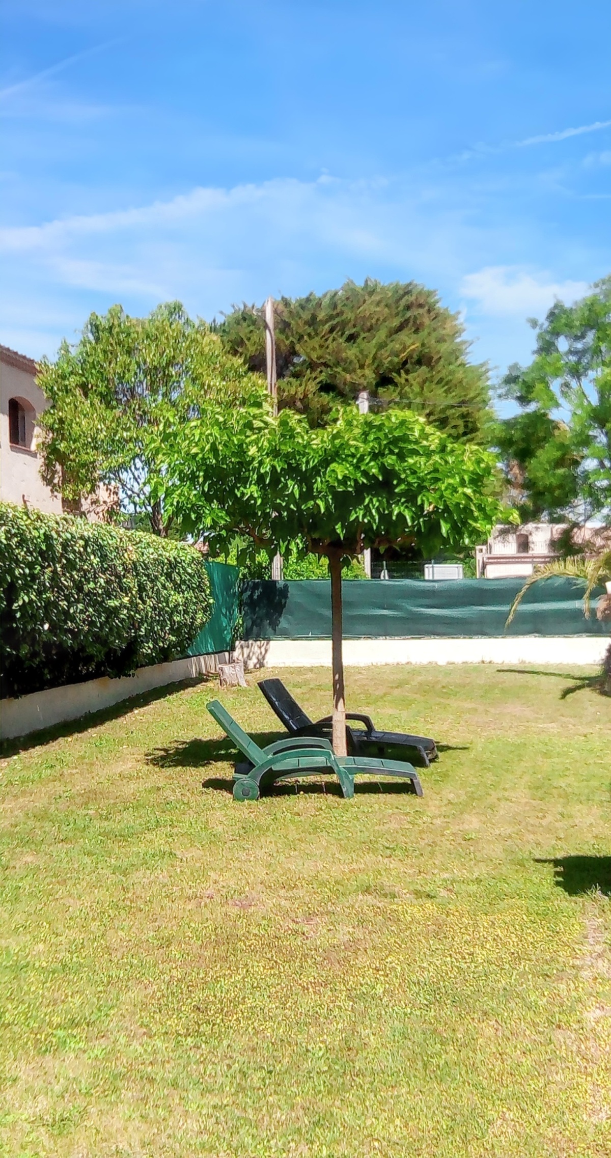 Appartement 2 ch avec jardin clos et terrasse barbecue - Photo 6