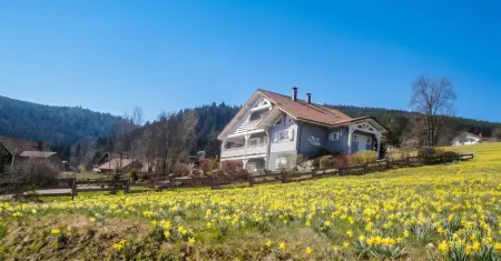 Appartement spacieux avec sauna et vue montagne à Xonrupt-Longemer : photo 9