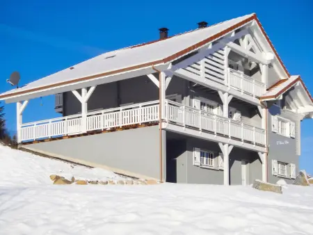 Appartement spacieux avec sauna et vue montagne à Xonrupt-Longemer : photo 10
