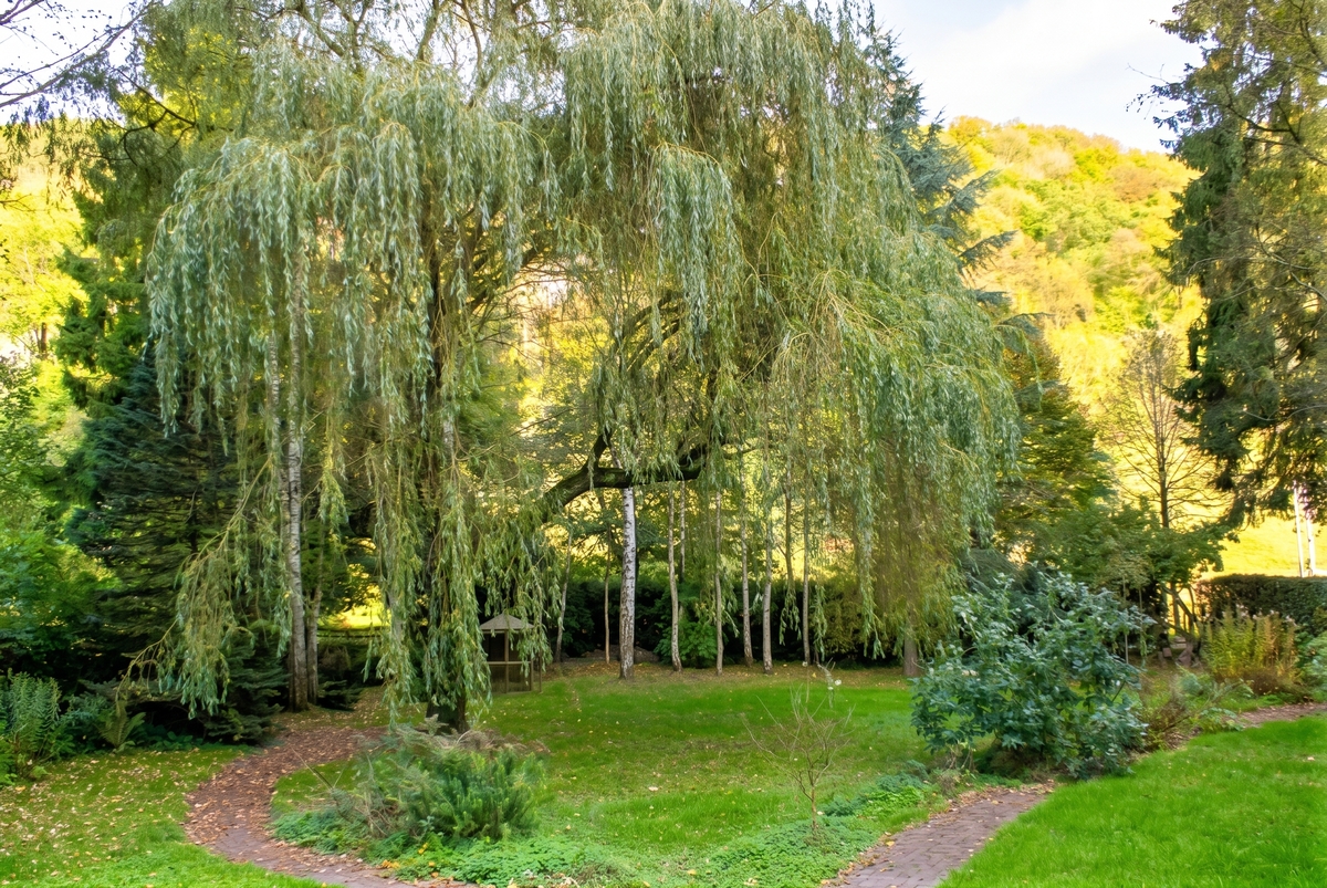 Maison 12 pers., 5 chambres, jardin clôturé à Comblain-au-Pont - Photo 28
