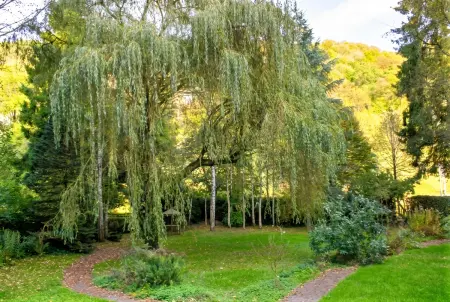Maison 5 chambres avec jardin clos à Comblain-au-Pont : photo 28