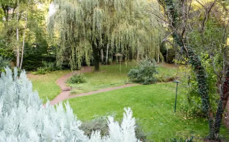 Maison 5 chambres avec jardin clos à Comblain-au-Pont : photo 29
