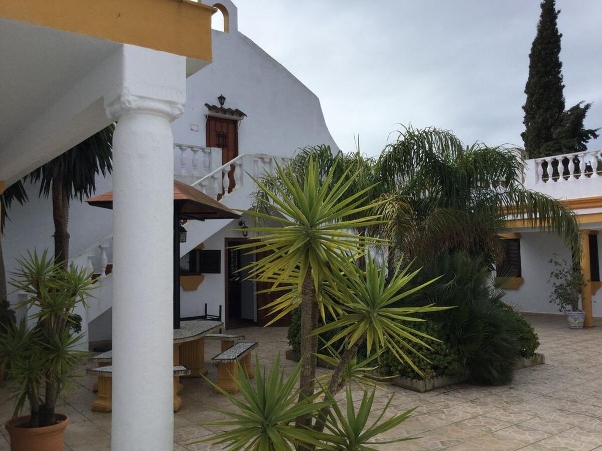 Villa 14 pers., 7 chambres, piscine privée à Conil - Photo 37
