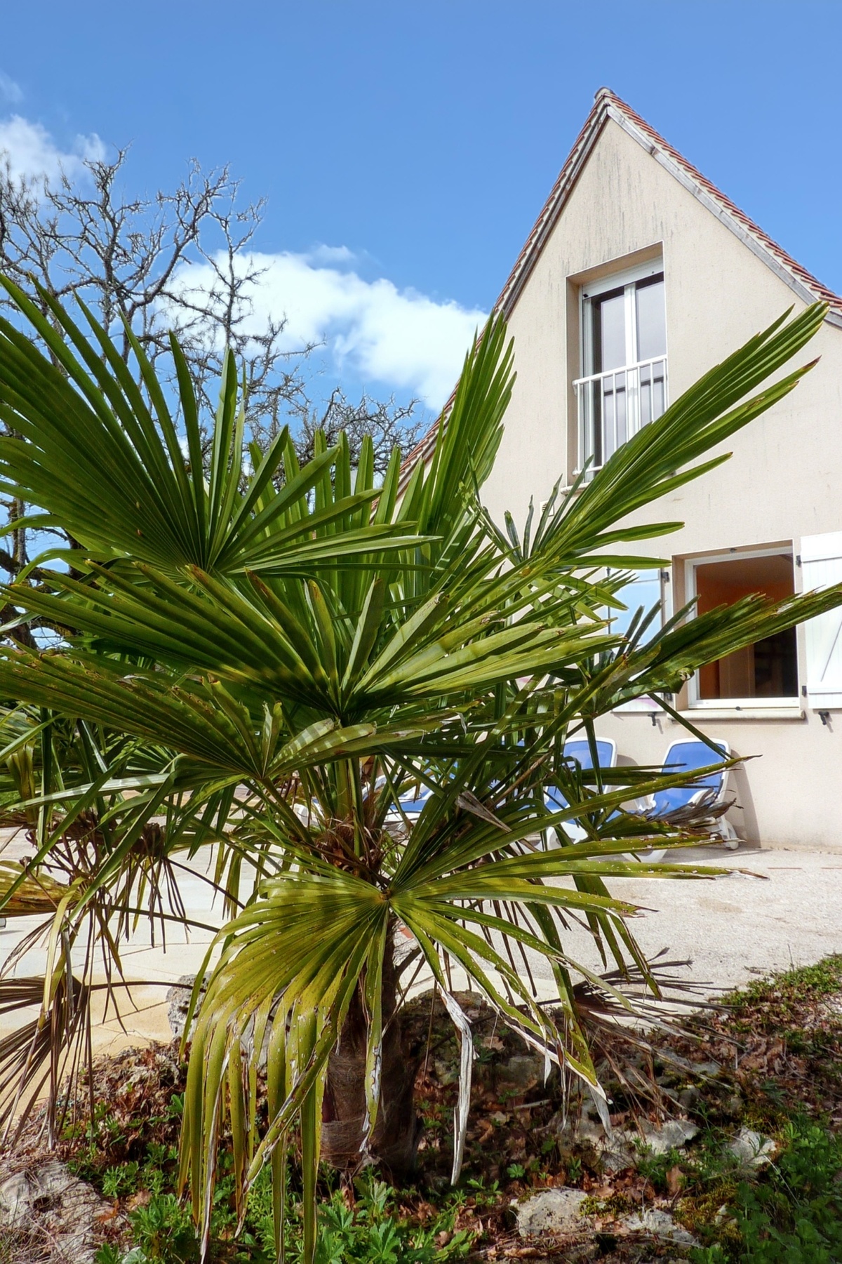Villa 8 pers. avec piscine privée à Loubressac - Photo 10