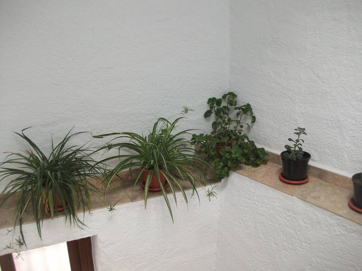 Maison 140 m² pour 8 personnes à Narila, vue montagne - Photo 18